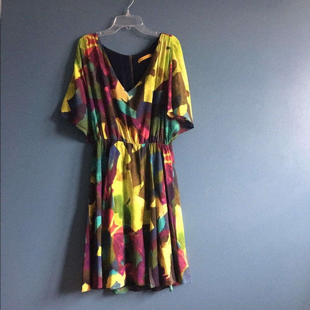 NWOT Alice and Olivia silk floral dress